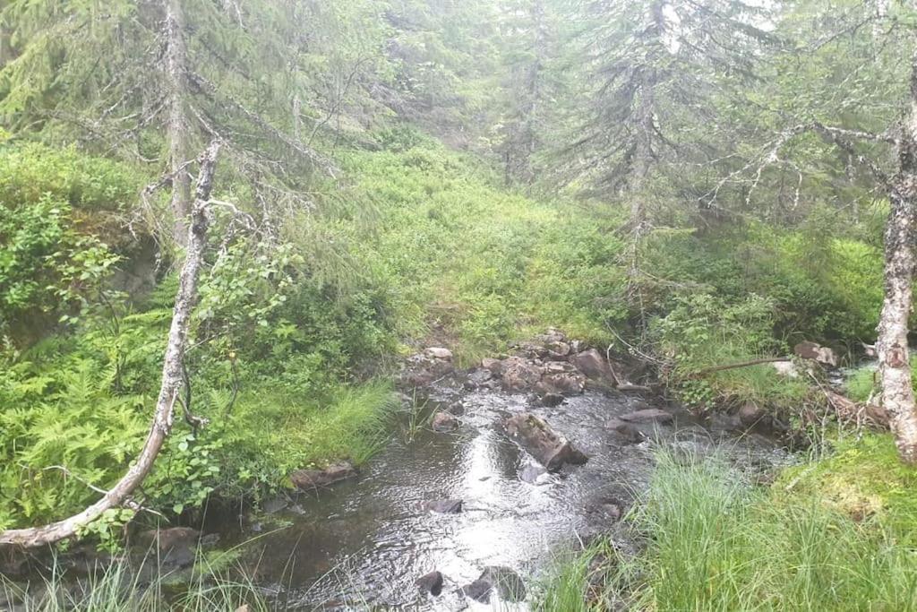 Guesthouse Hamran Mosvik Bagian luar foto